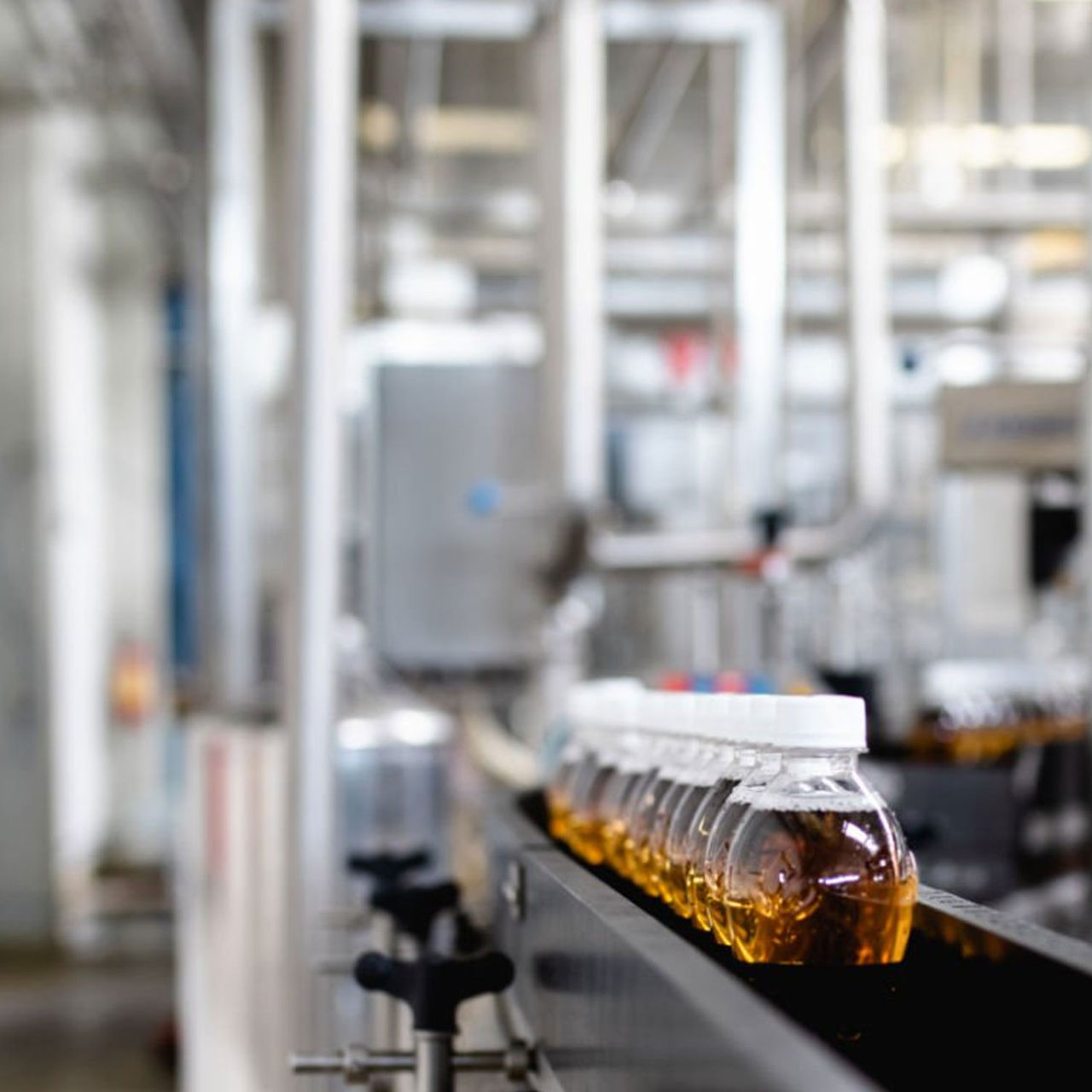 Food and Beverage Segment