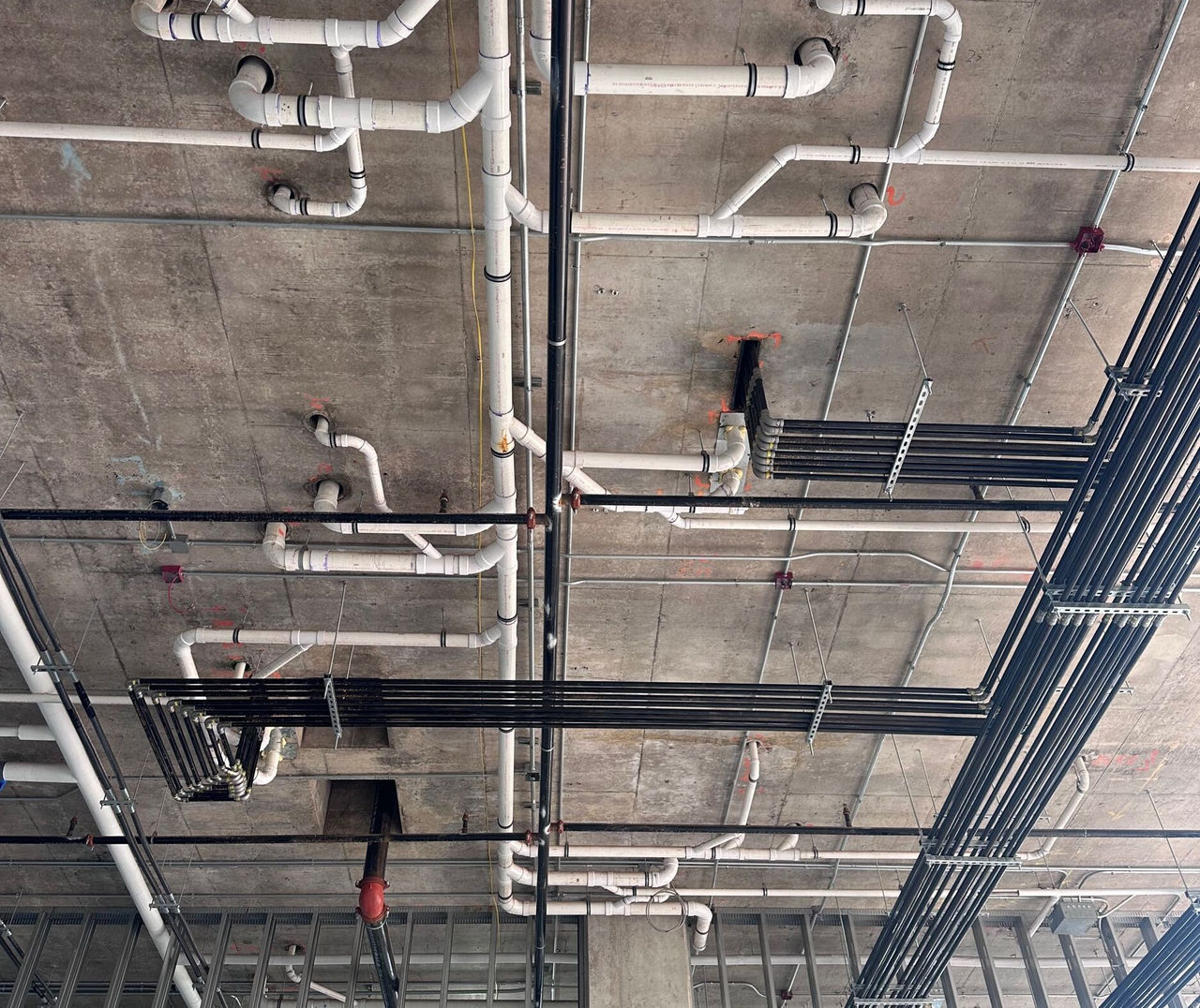 Berkley Heights Ceiling 2