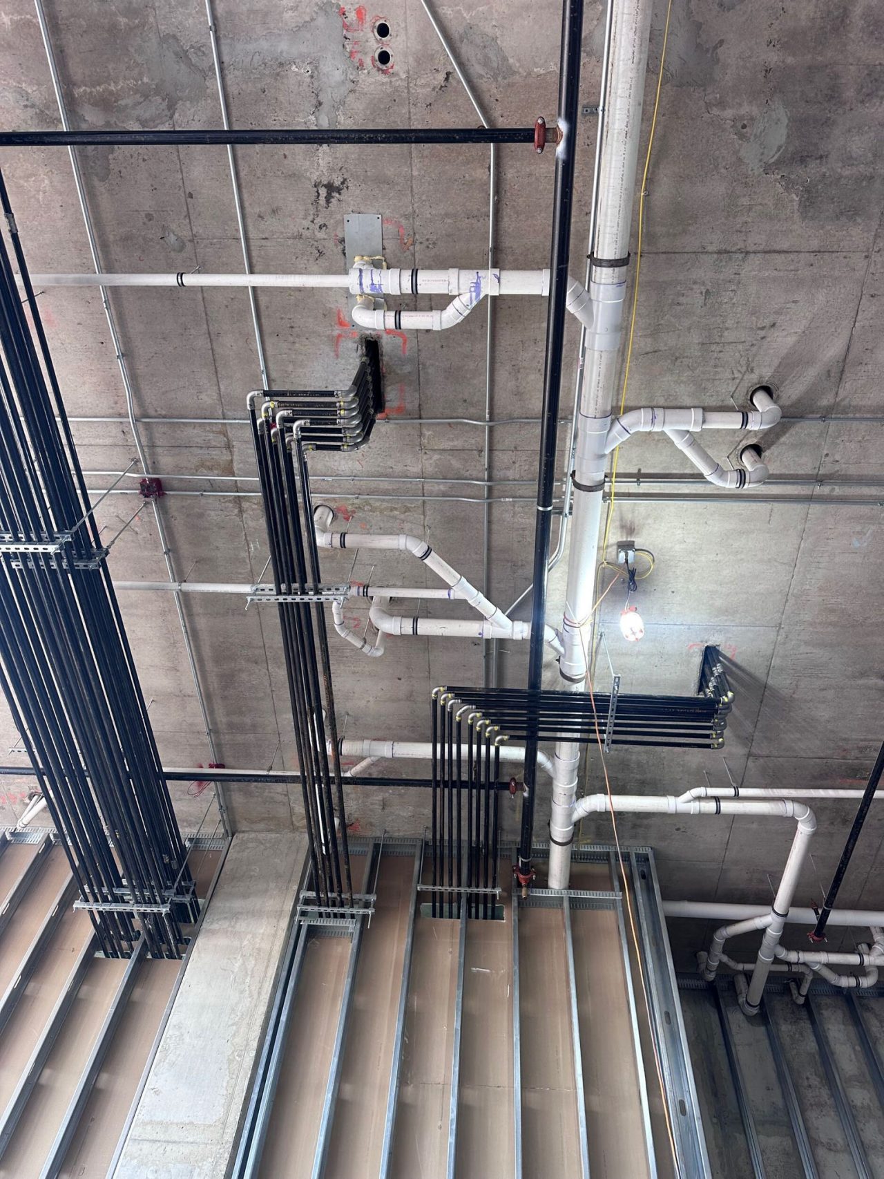 Berkley Heights Ceiling