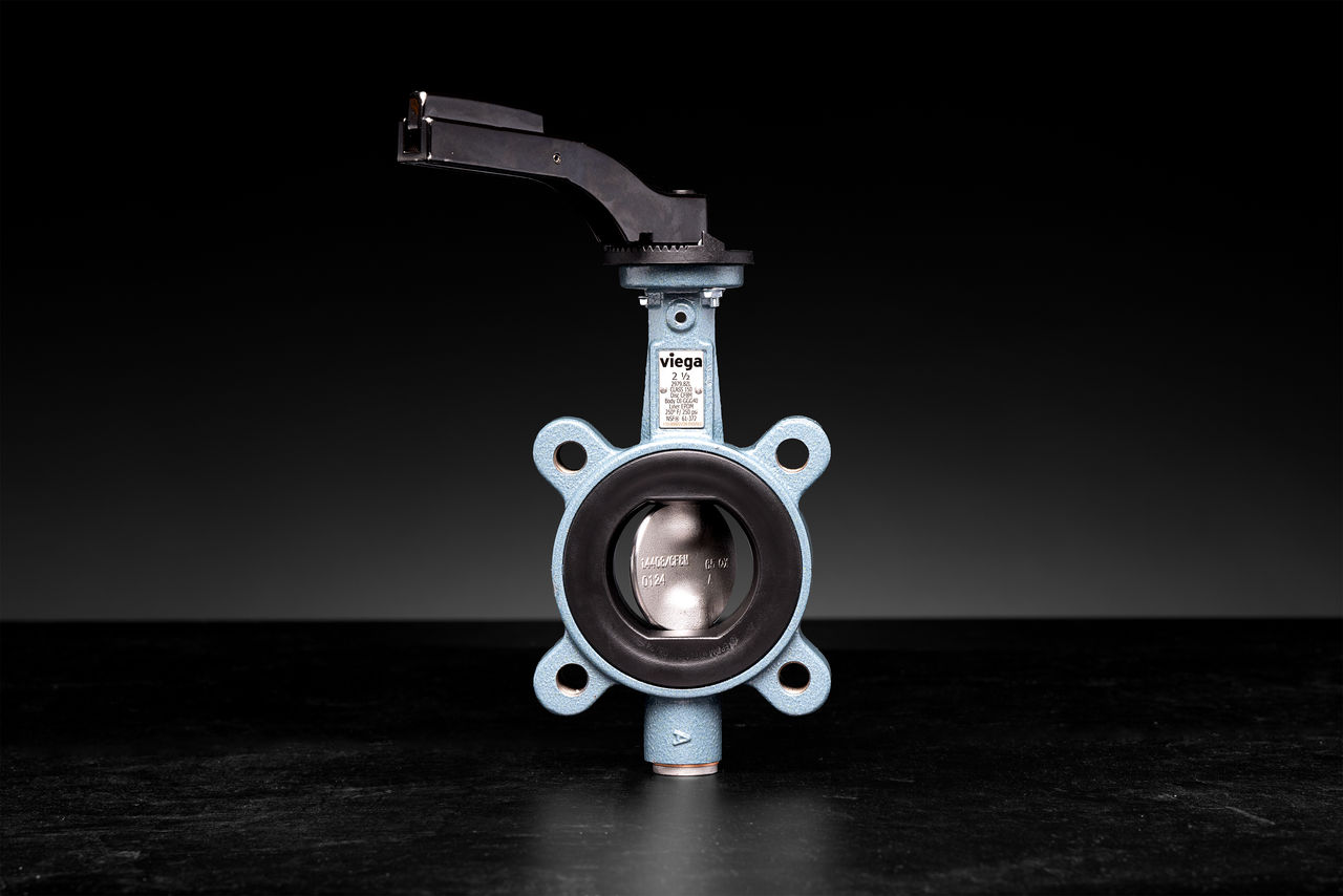 Glamour show of blue butterfly valve