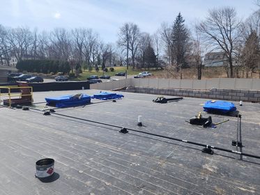 Project Spotlight